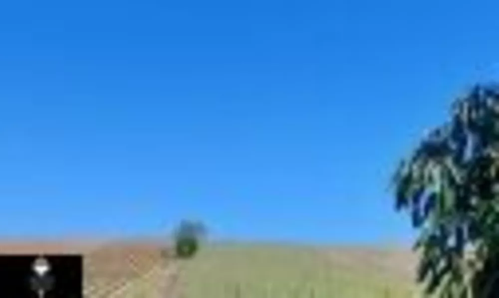 Sítio, 3 hectares - Foto 4