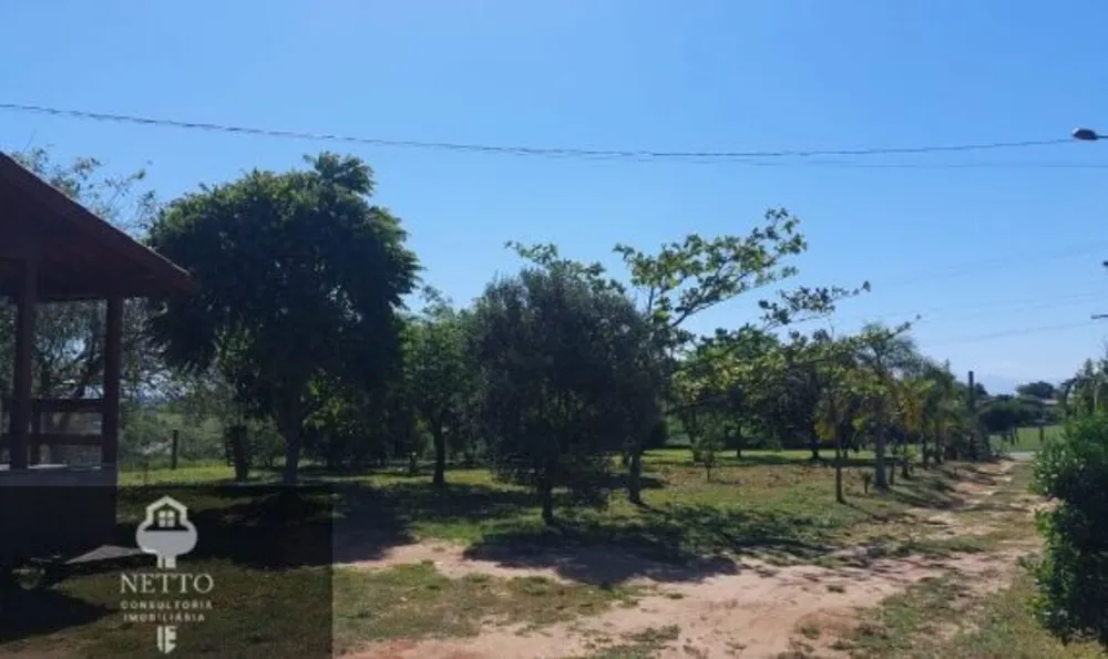 Sítio, 3 hectares - Foto 6