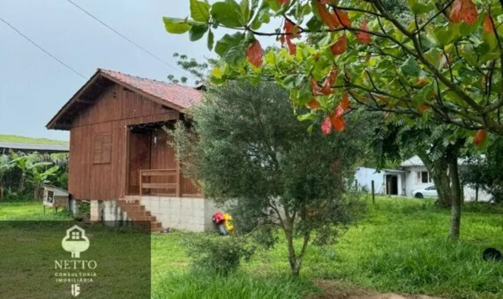 Sítio, 3 hectares - Foto 10