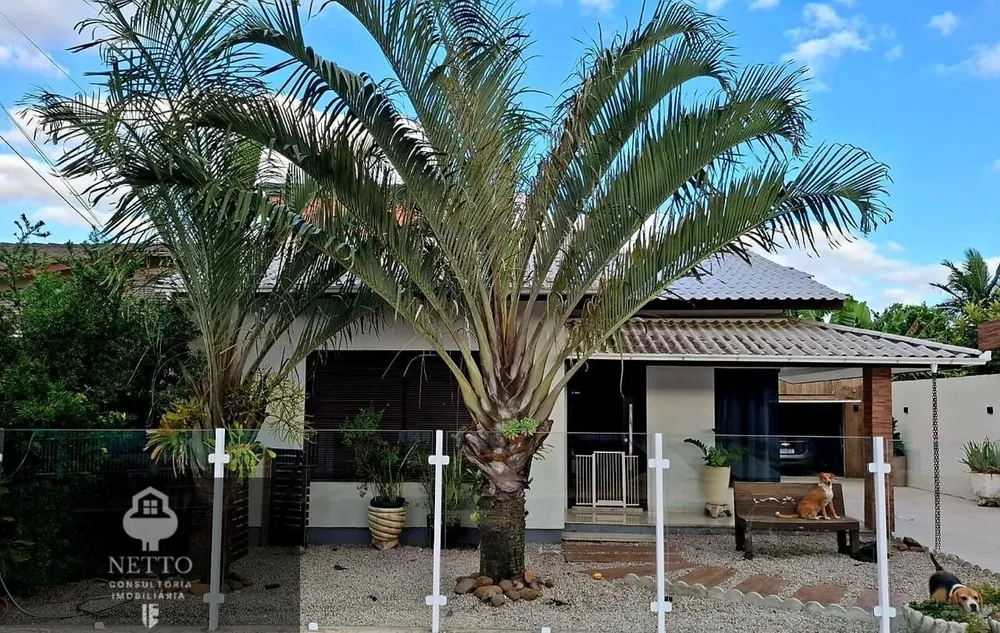 Casa, 2 quartos - Foto 5