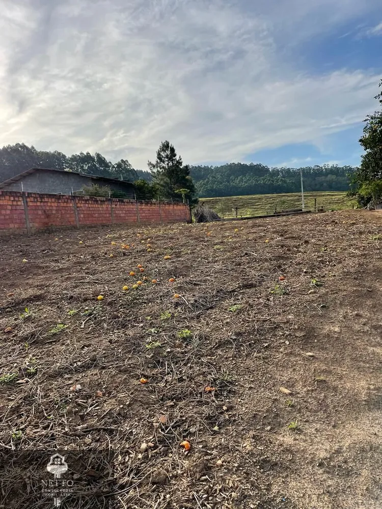 Terreno, 360 m² - Foto 6