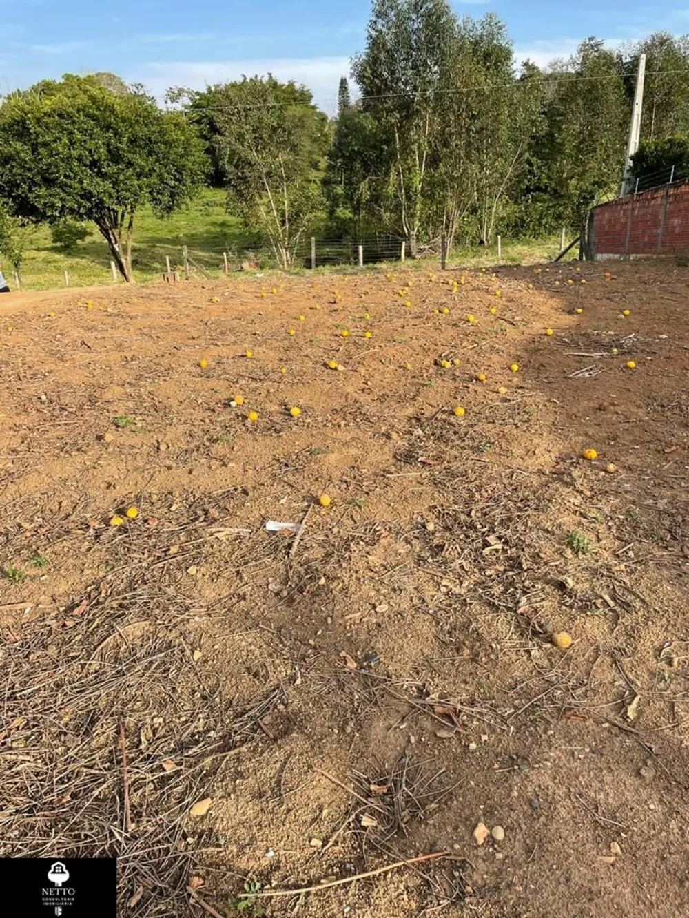 Terreno, 360 m² - Foto 2