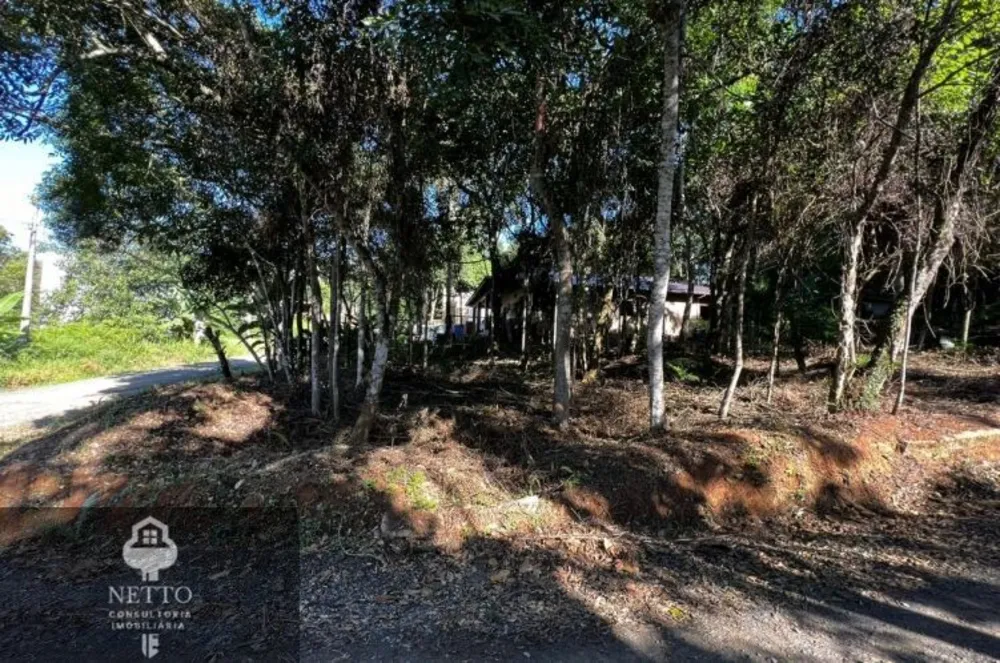 Terreno, 592 m² - Foto 1