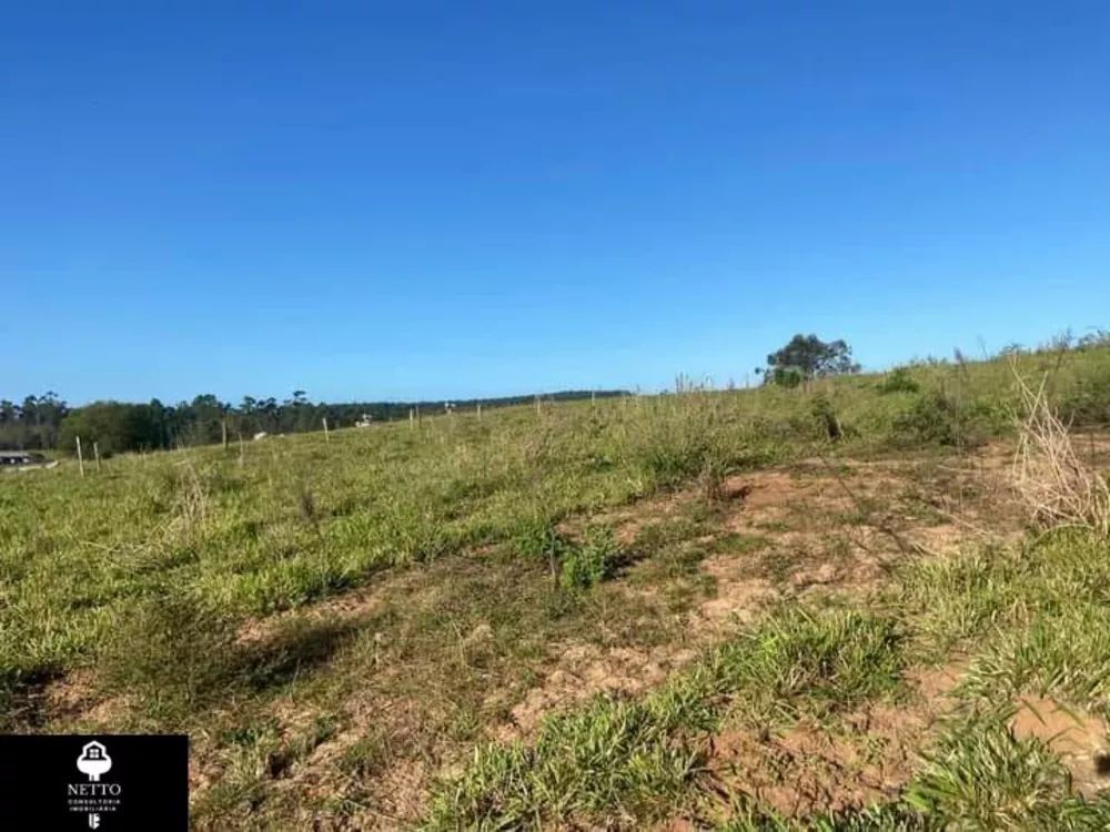 Terreno, 10000 m² - Foto 3