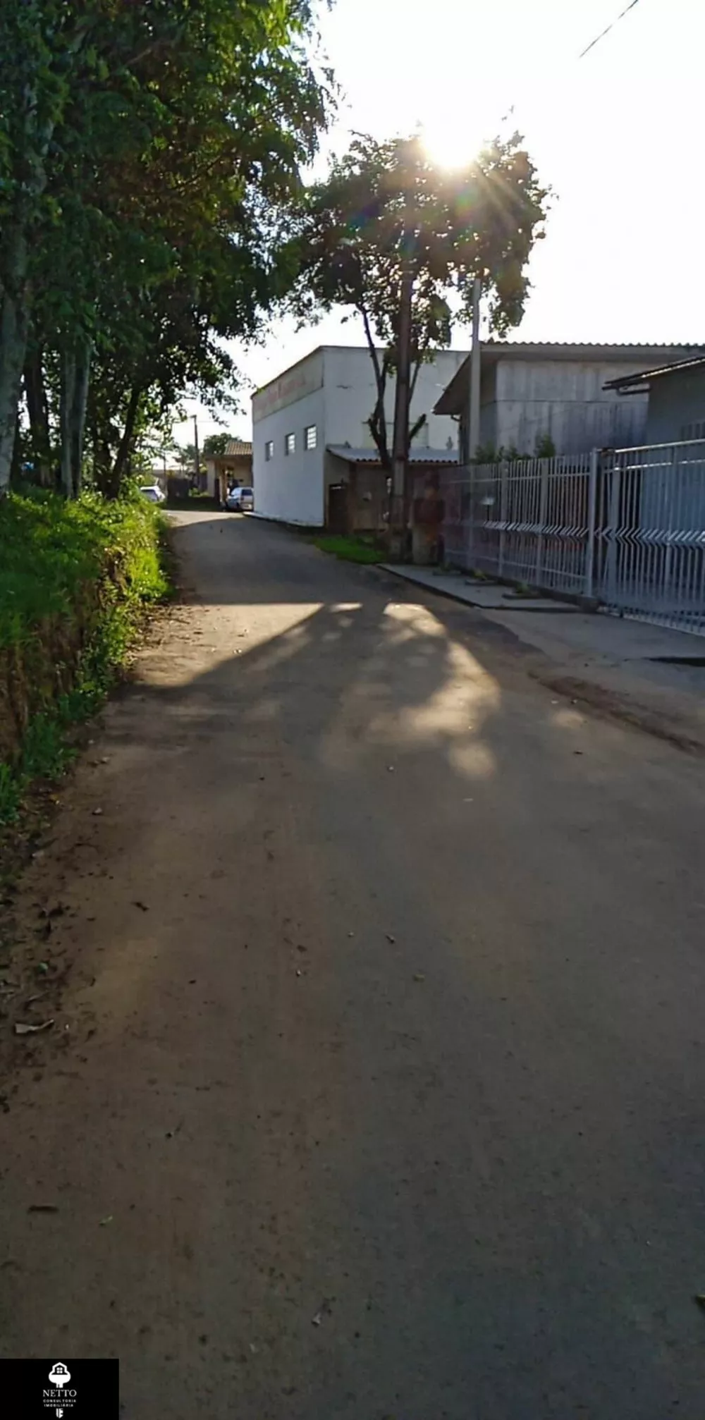 Casa, 5 quartos - Foto 4