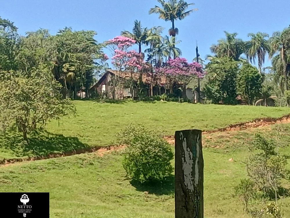Sítio - Foto 1