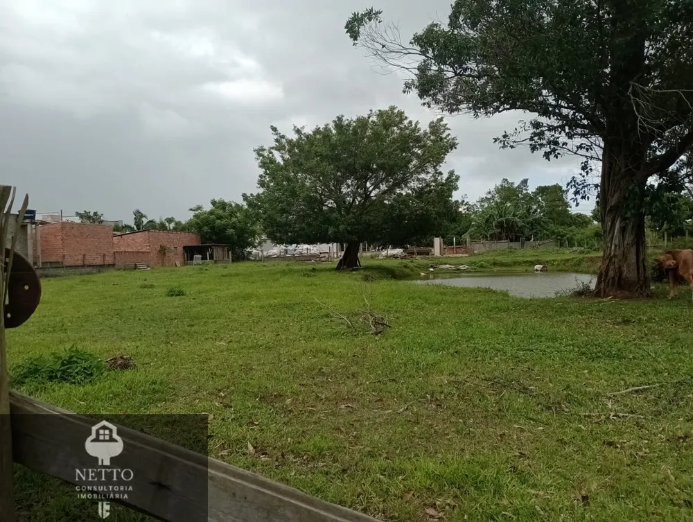 Terreno, 4000 m² - Foto 6