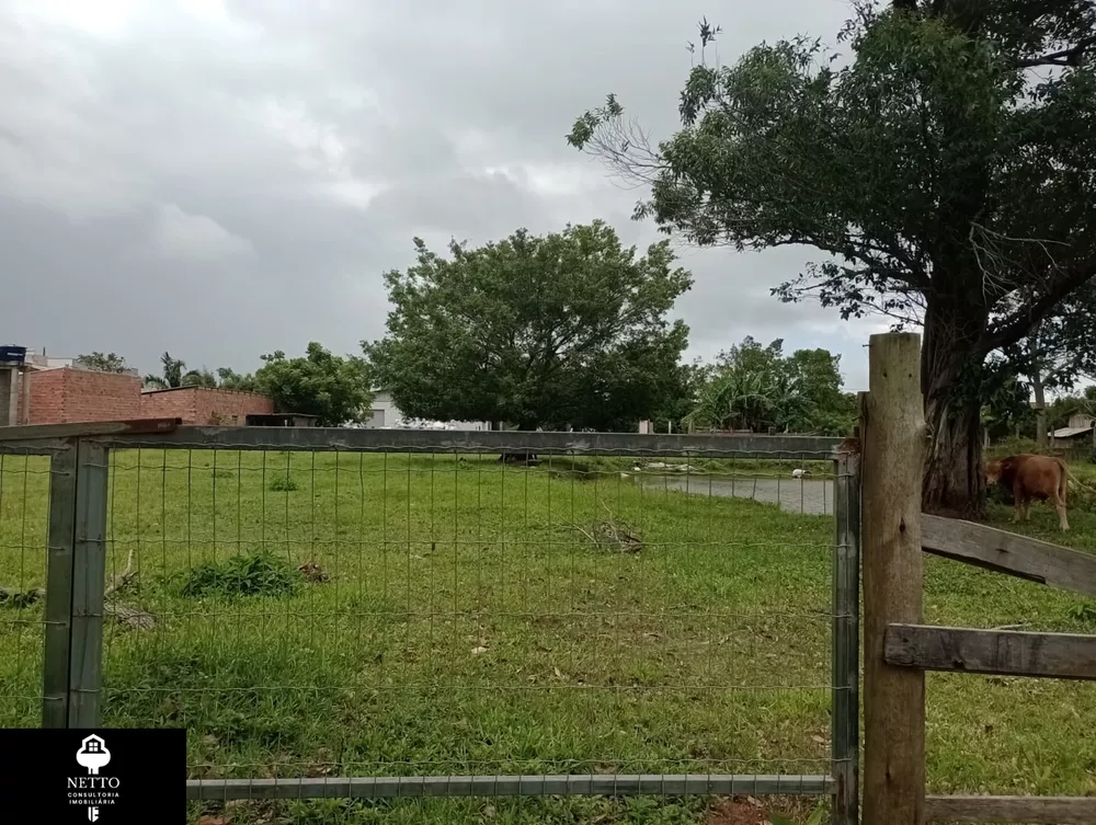 Terreno, 4000 m² - Foto 4