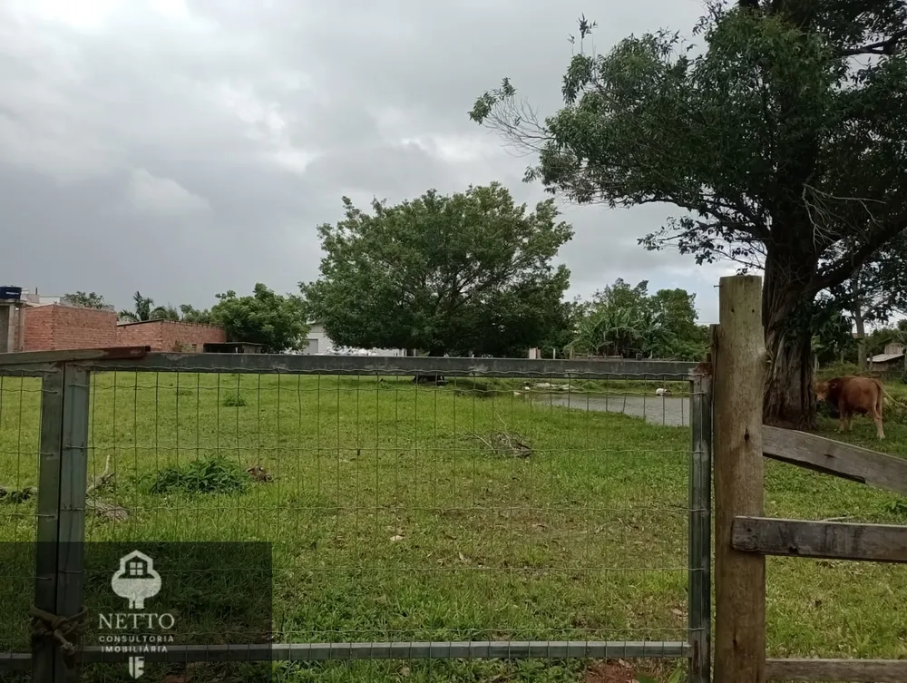 Terreno, 4000 m² - Foto 5