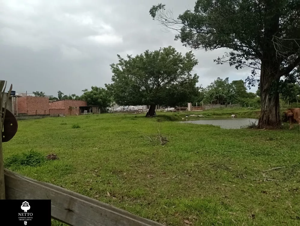 Terreno, 4000 m² - Foto 2