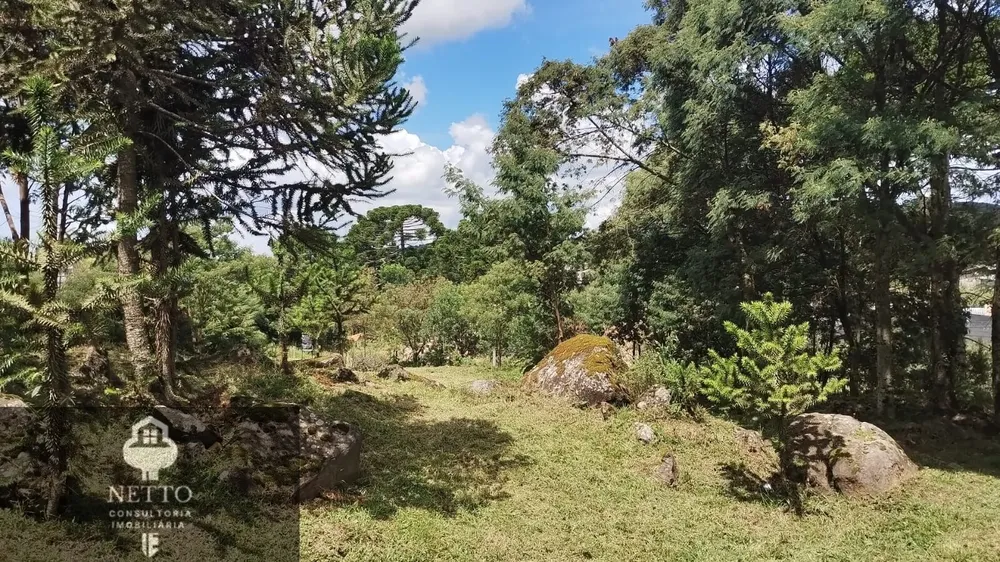 Chácara, 450 m² - Foto 7