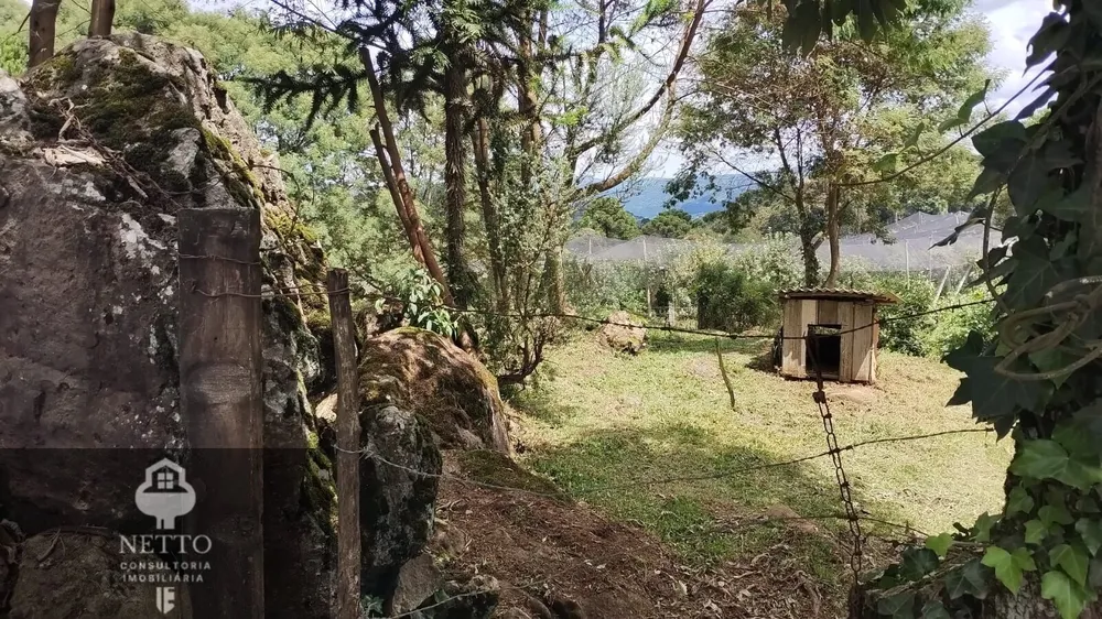 Chácara, 450 m² - Foto 9