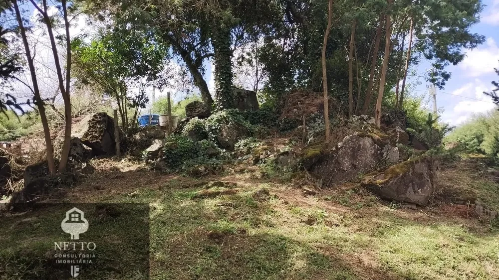 Chácara, 450 m² - Foto 6