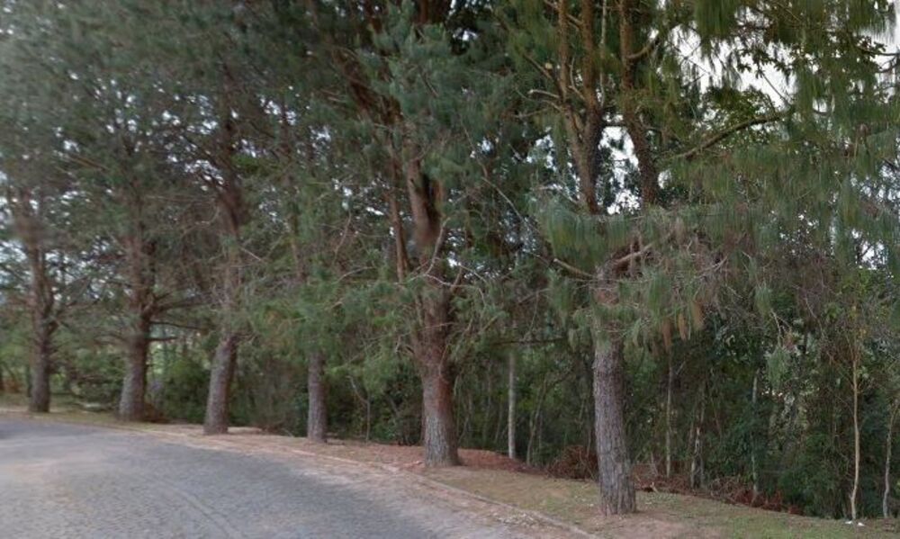 Terreno, 1550 m² - Foto 1