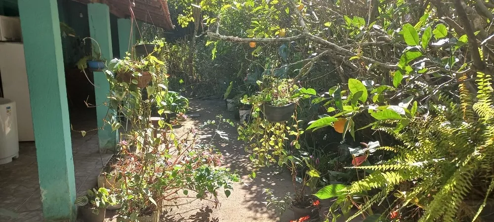 Casa, 3 quartos - Foto 7