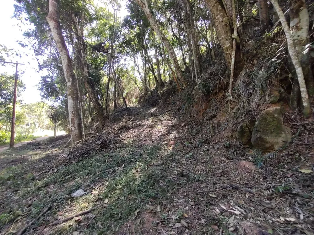 Terreno à venda, 2500m² - Foto 1