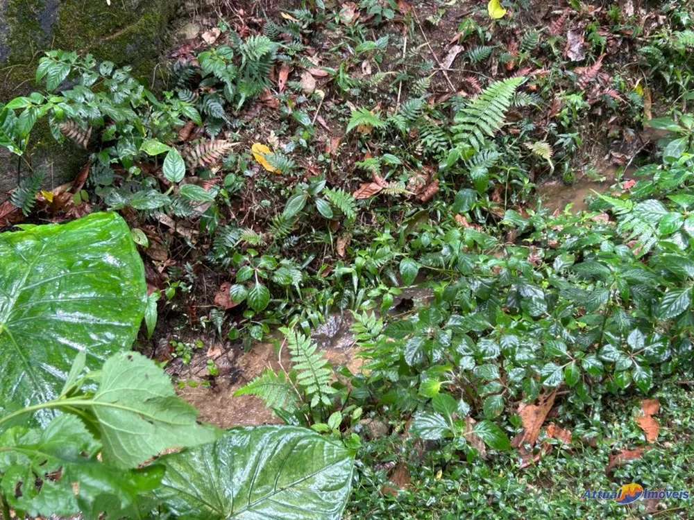 Sítio, 8 quartos - Foto 11