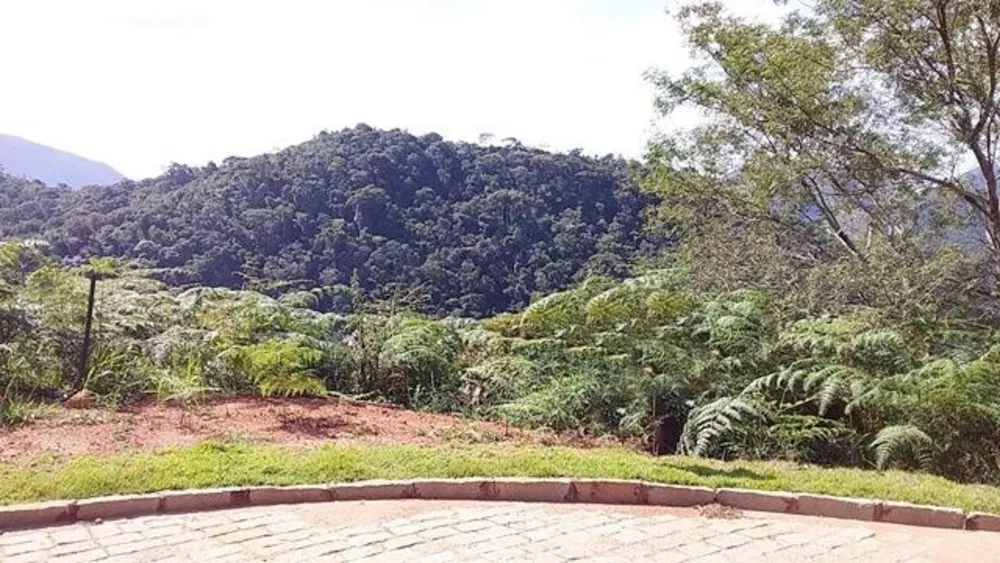 Terreno, 605 m² - Foto 8