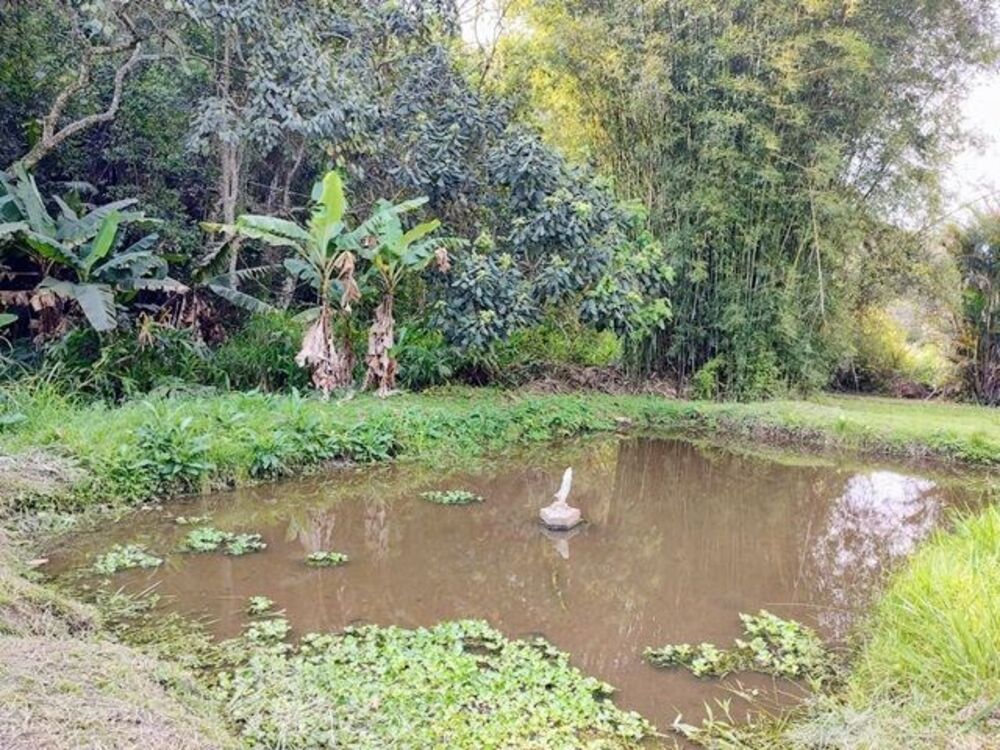 Sítio, 6 quartos, 6500 m² - Foto 36