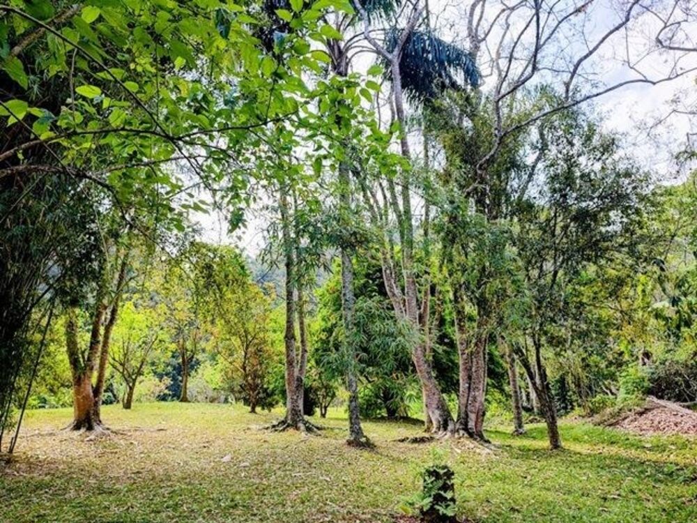 Sítio, 6 quartos, 6500 m² - Foto 37