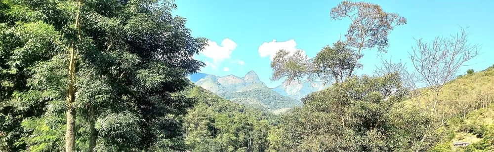 Casa, 3 quartos - Foto 18