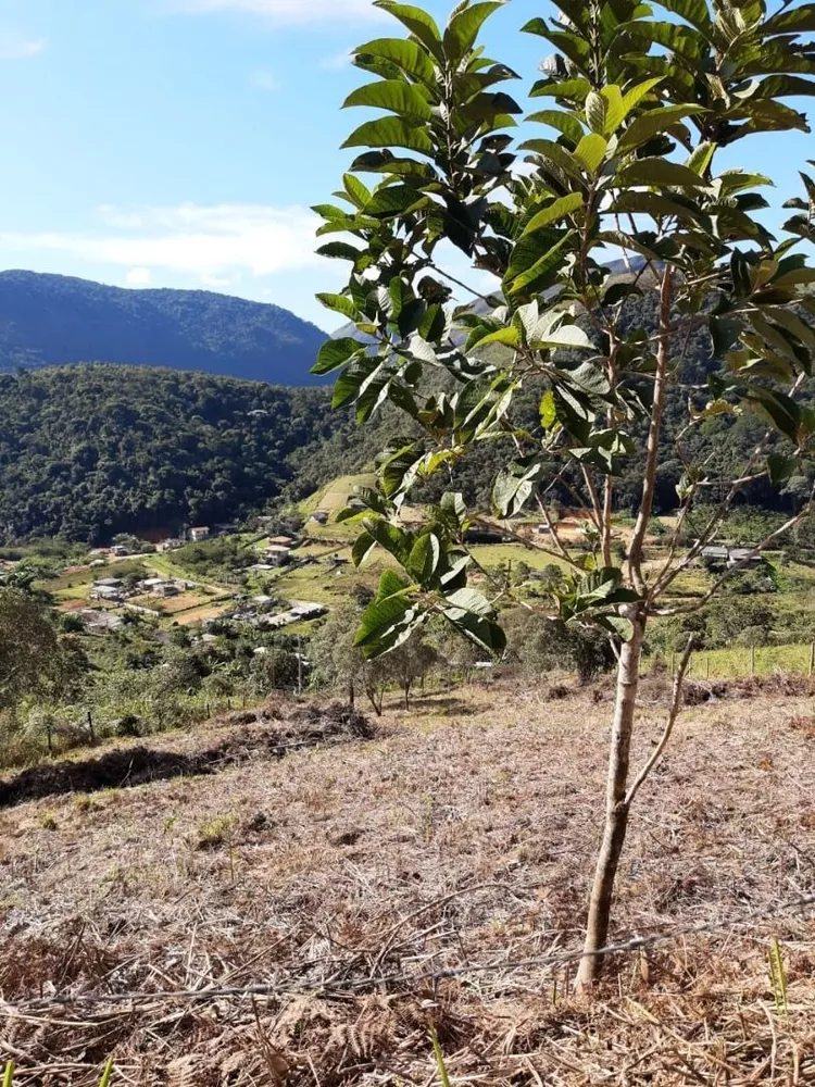 Terreno à venda, 2000m² - Foto 3