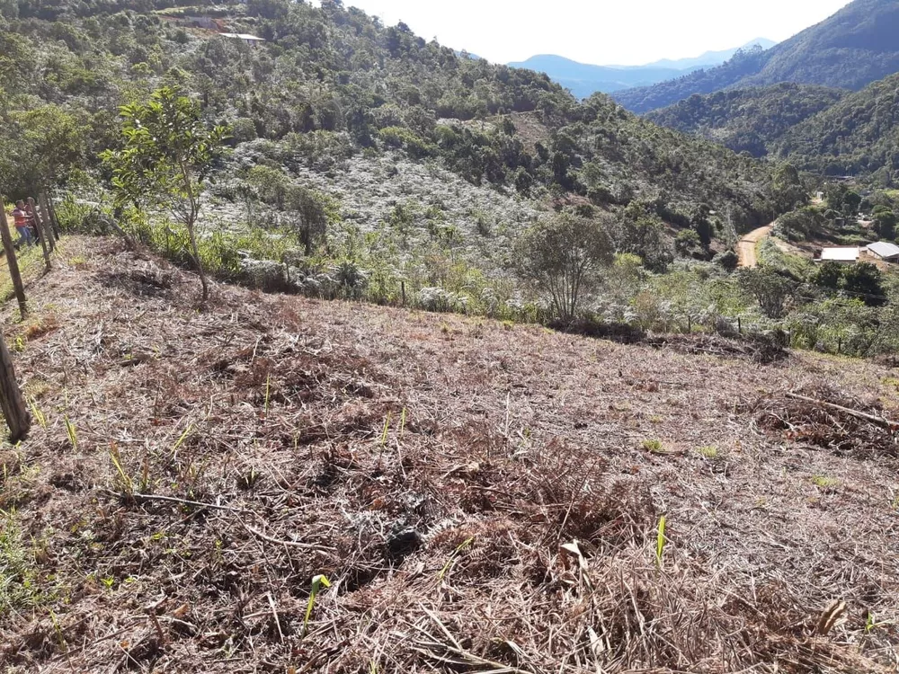 Terreno à venda, 2000m² - Foto 4