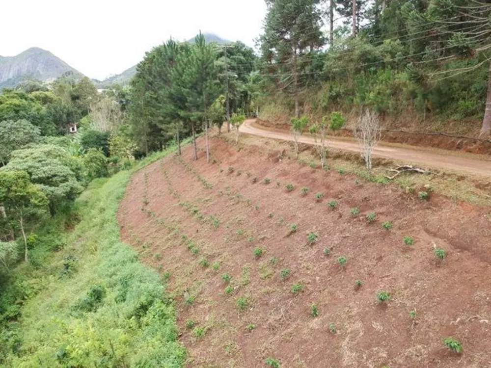 Sítio, 3 quartos, 28 hectares - Foto 21