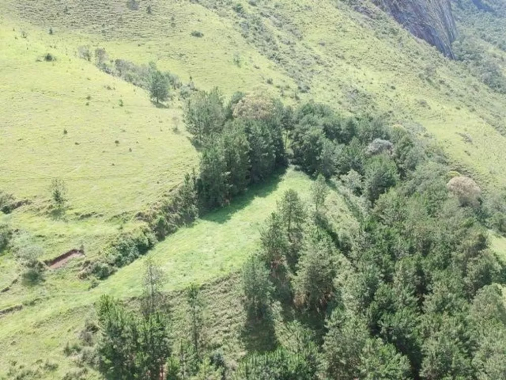 Sítio, 3 quartos, 28 hectares - Foto 28