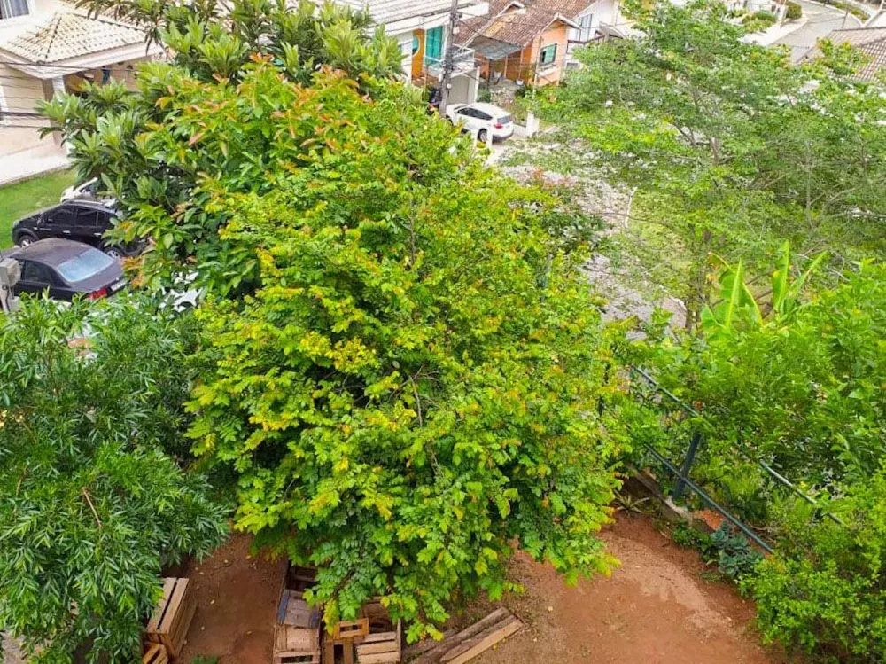 Casa, 2 quartos - Foto 21