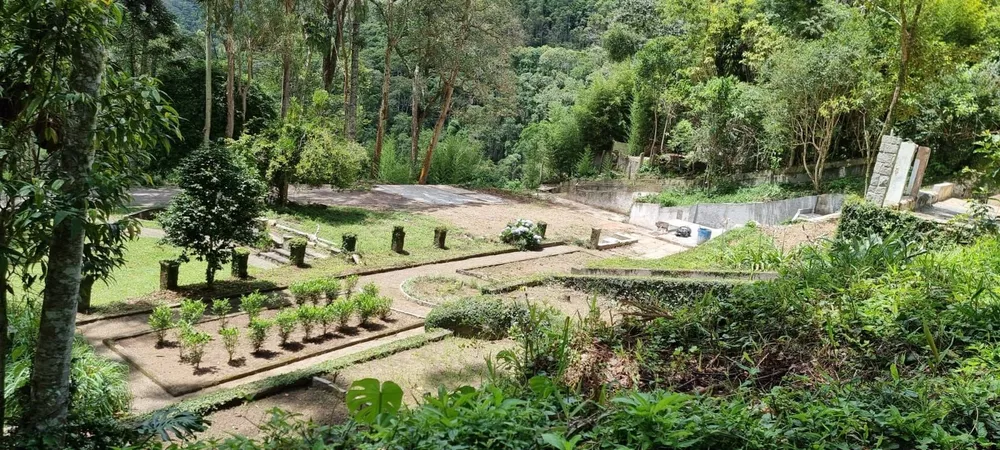 Terreno, 3 hectares - Foto 1
