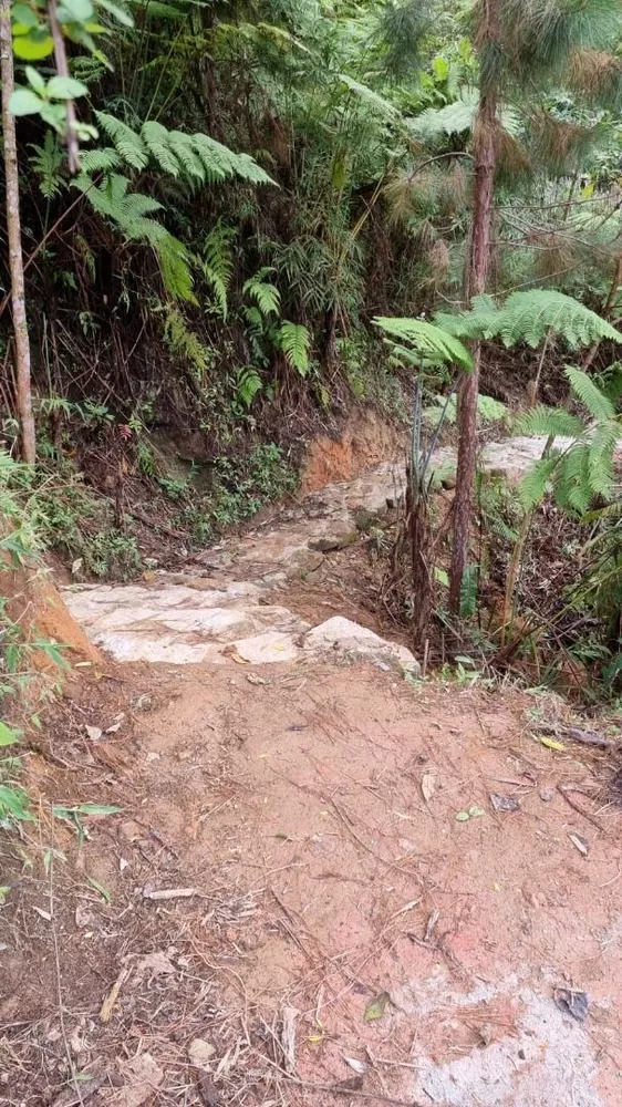 Terreno, 3 hectares - Foto 11