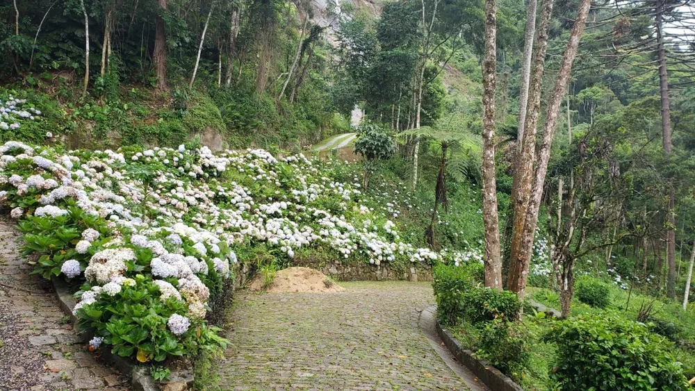 Terreno, 3 hectares - Foto 6