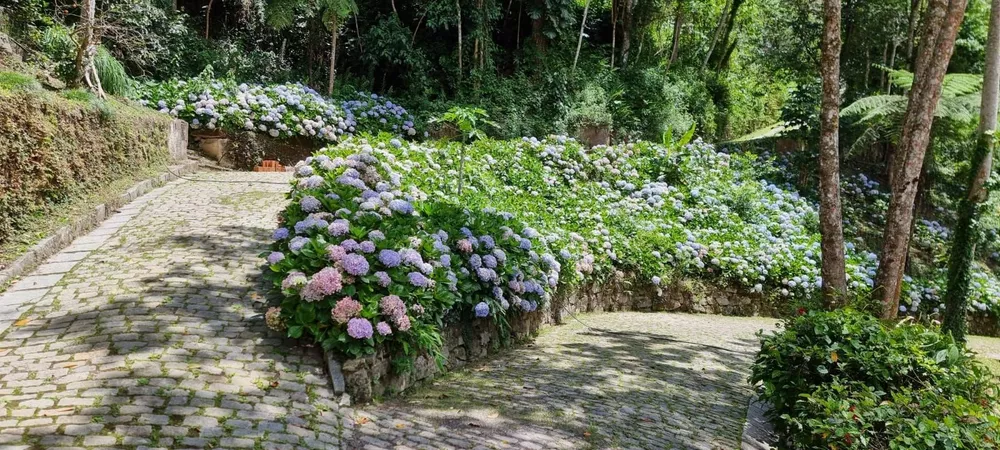 Terreno, 3 hectares - Foto 8