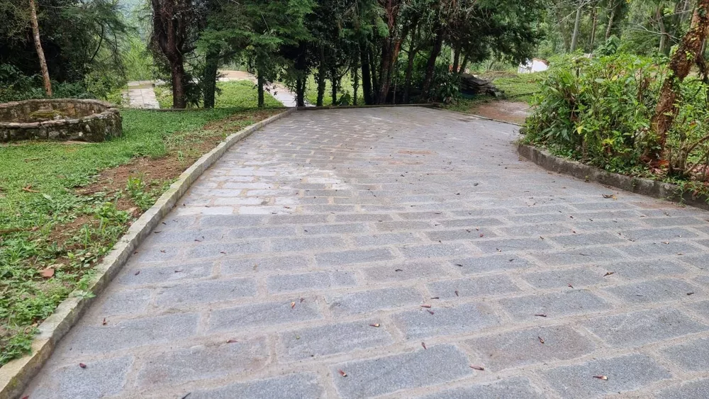 Terreno, 3 hectares - Foto 4