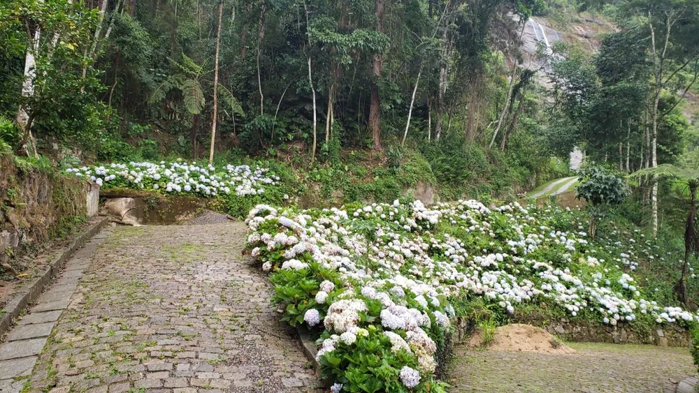 Terreno, 3 hectares - Foto 10
