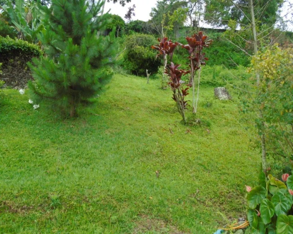 Casa, 5 quartos - Foto 7