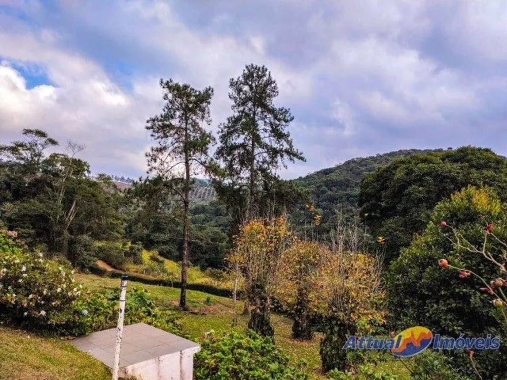 Sítio, 6 quartos, 3 hectares - Foto 48