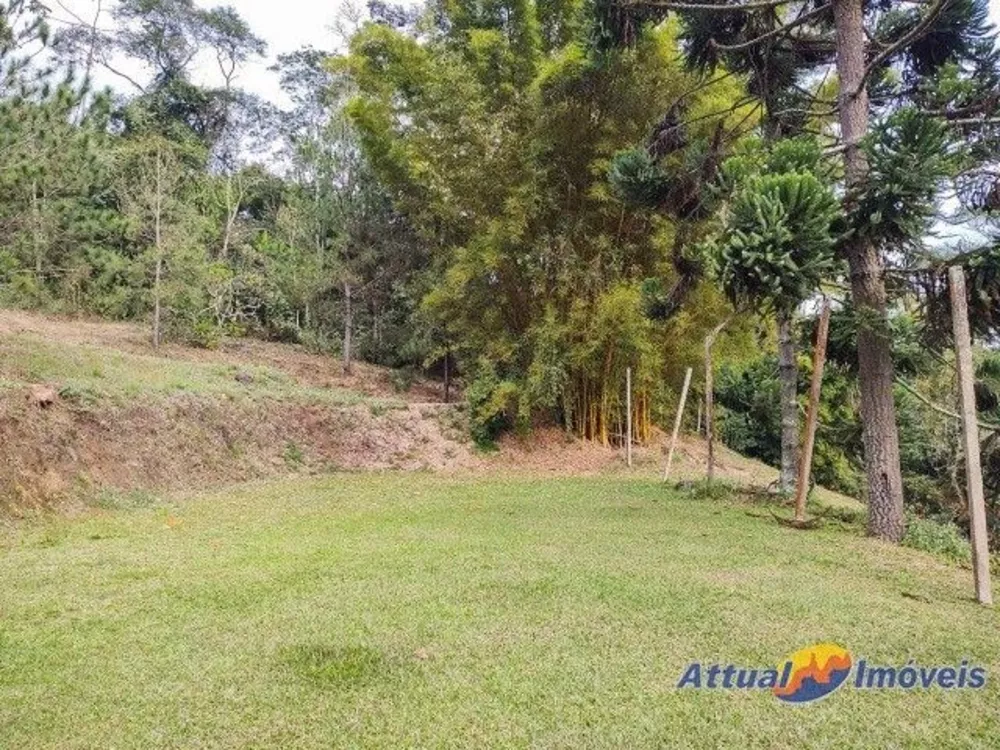 Sítio, 6 quartos, 3 hectares - Foto 34