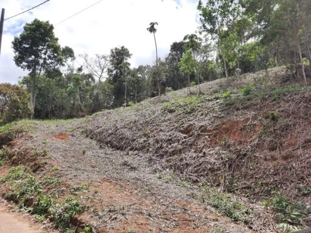 Terreno, 736 m² - Foto 1