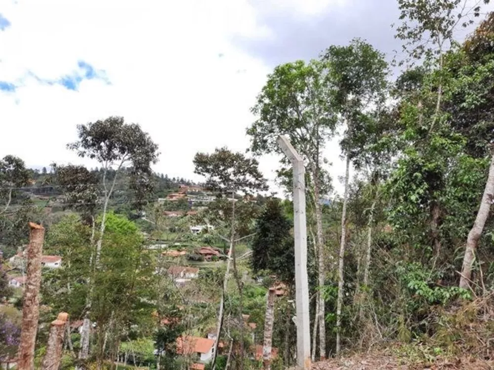 Terreno, 736 m² - Foto 3