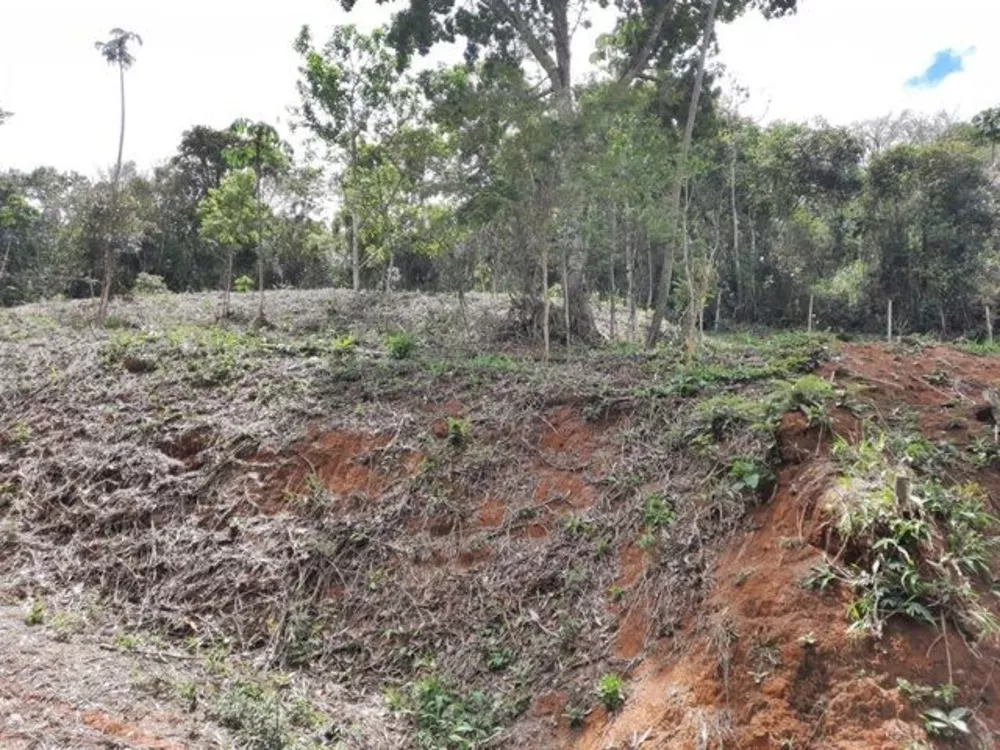 Terreno, 736 m² - Foto 2