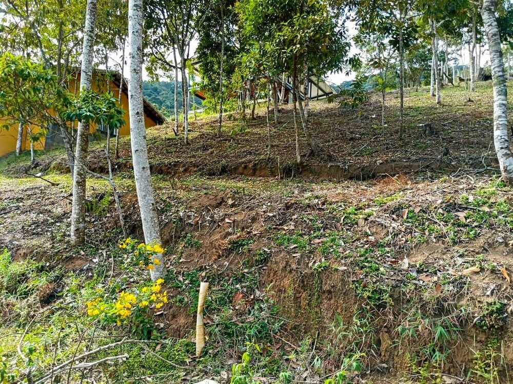Terreno, 429 m² - Foto 2