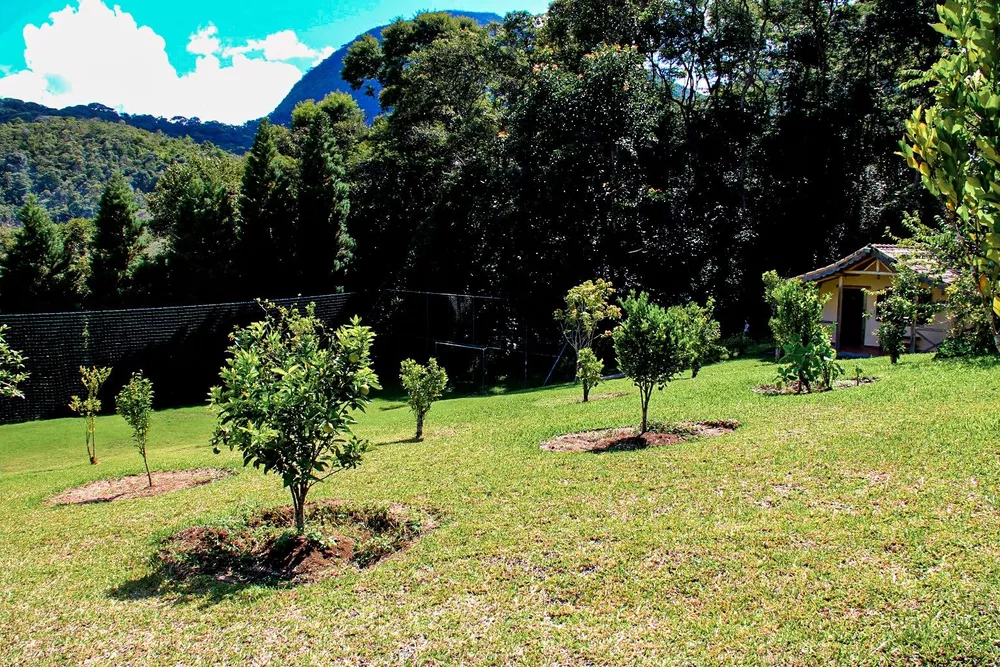 Chácara, 9 quartos, 22 hectares - Foto 22
