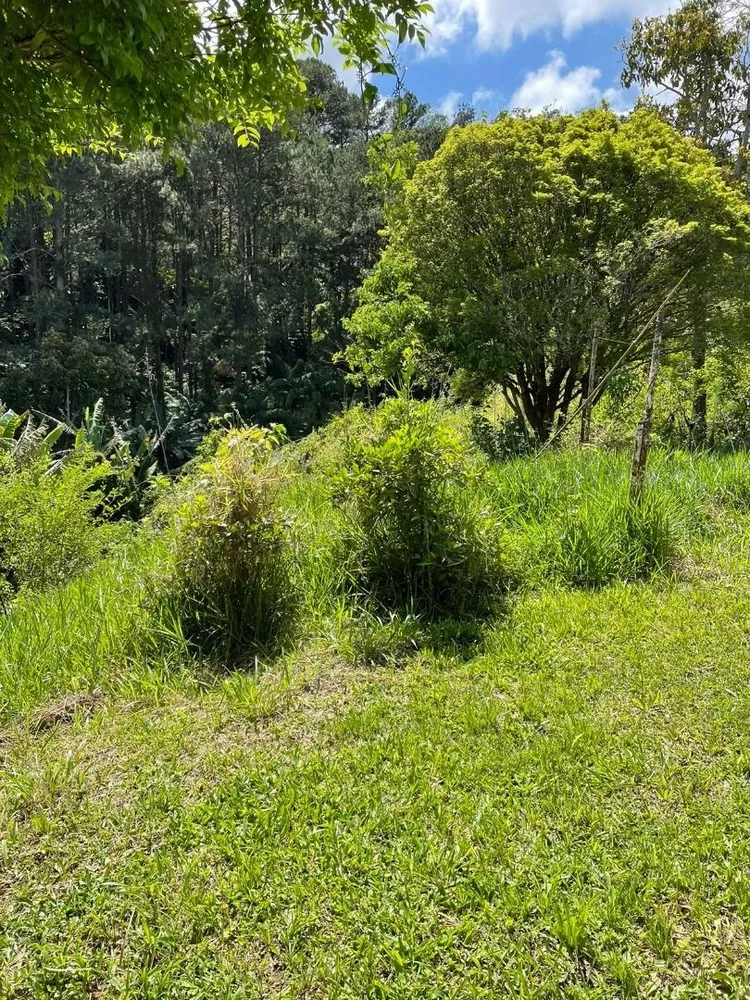 Terreno, 2625 m² - Foto 5