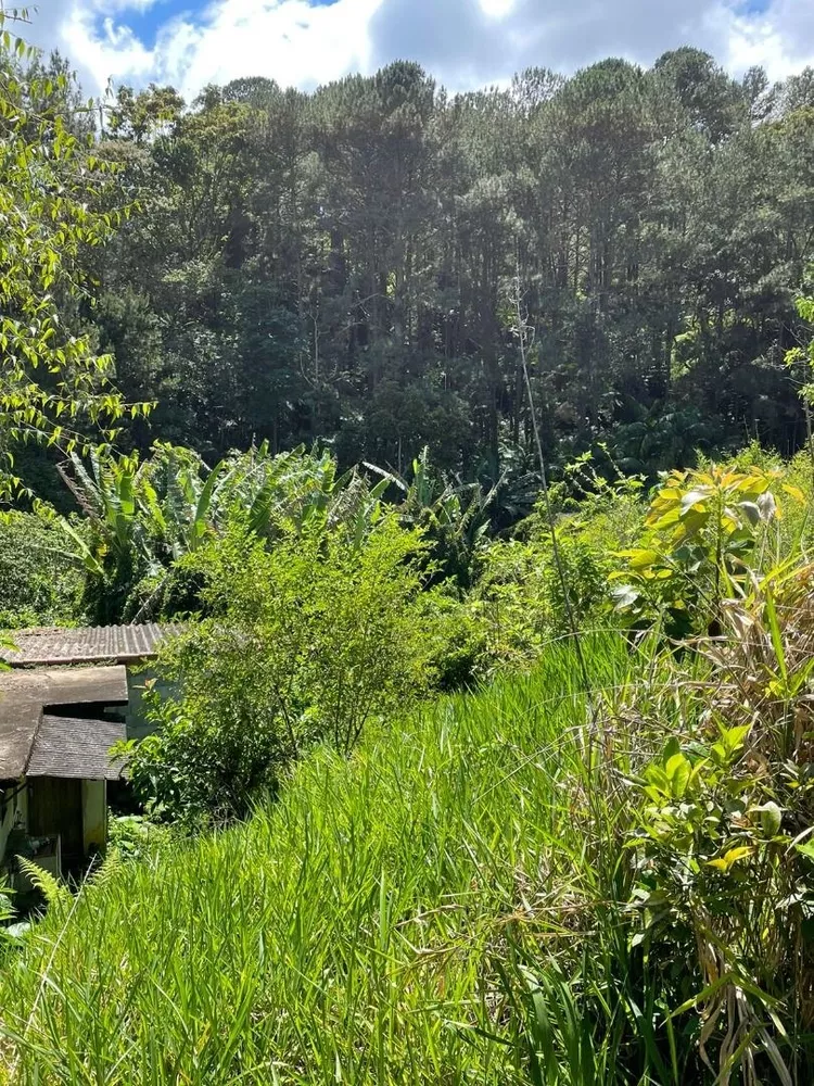 Terreno, 2625 m² - Foto 10