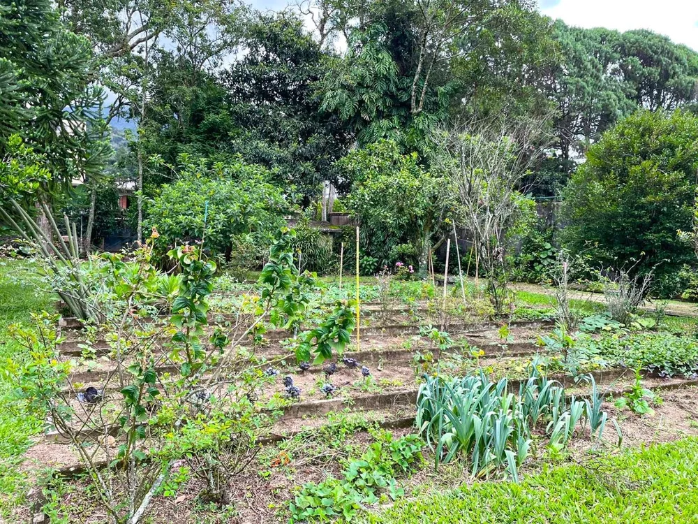 Terreno, 2625 m² - Foto 14