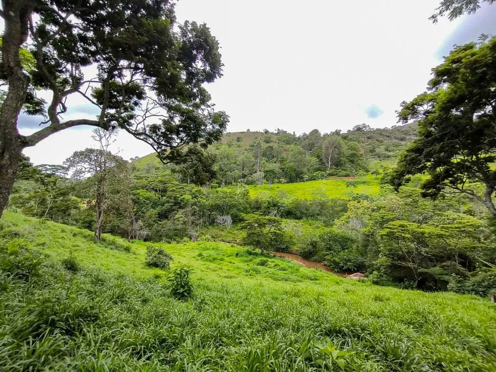 Sítio, 3 quartos, 7 hectares - Foto 19