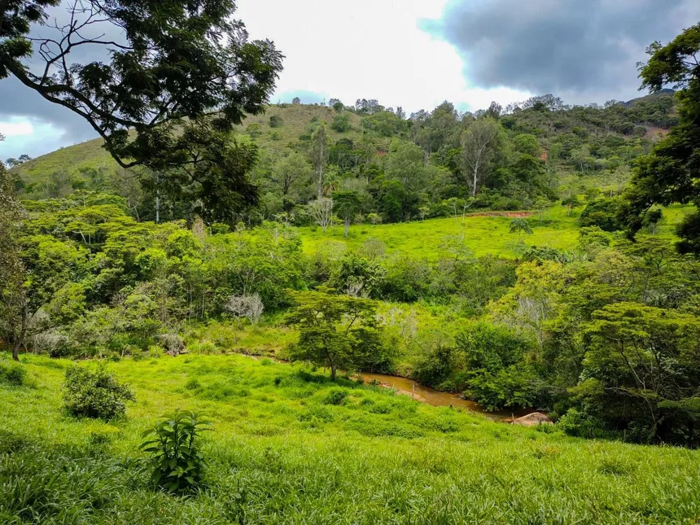 Sítio, 3 quartos, 7 hectares - Foto 16