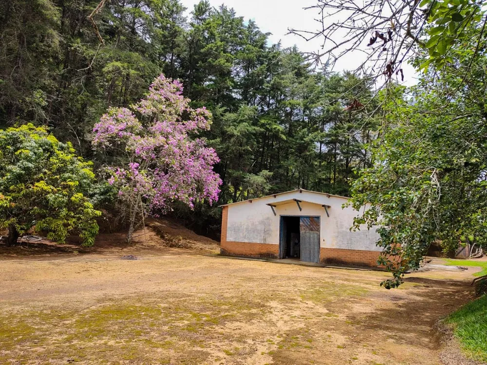 Sítio, 3 quartos, 7 hectares - Foto 23